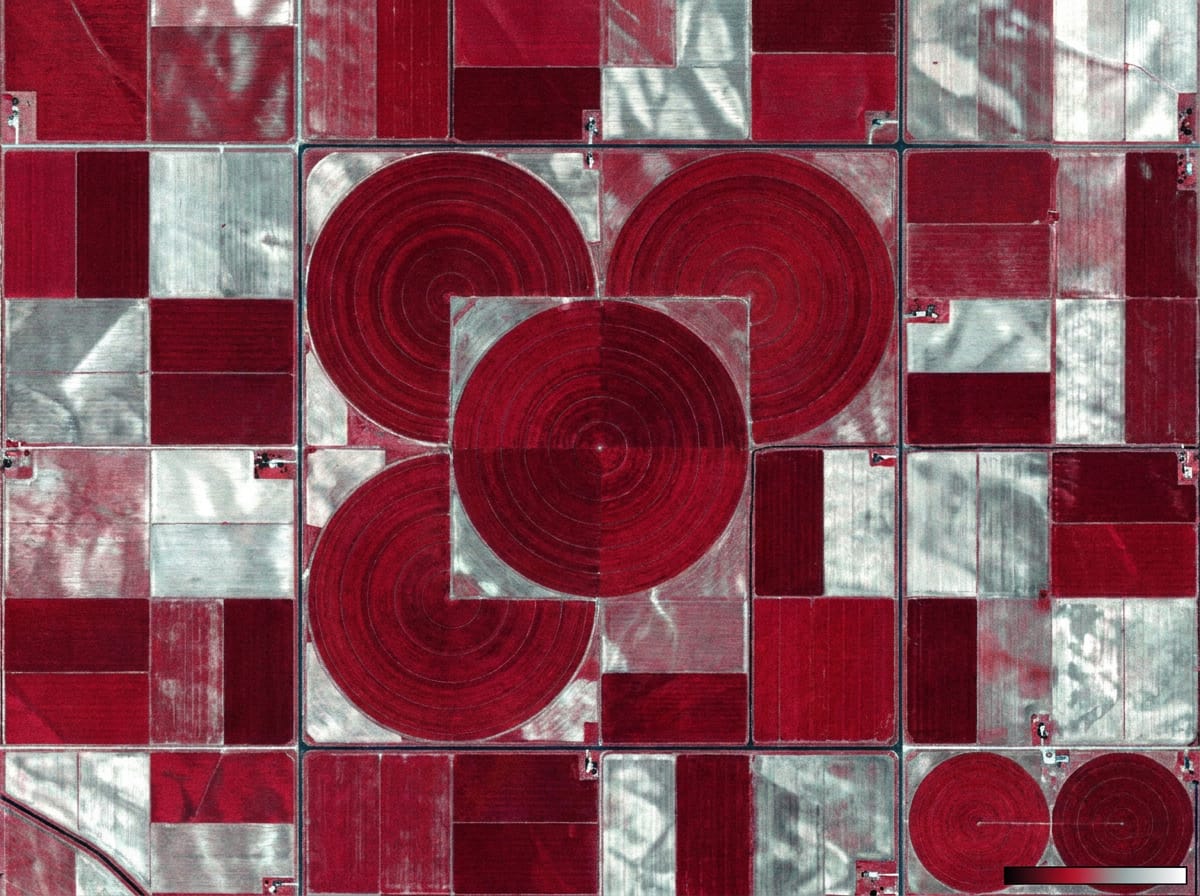 False-color NDVI multispectral satellite view of centre-pivot irrigation fields showing crop health at 2m resolution
